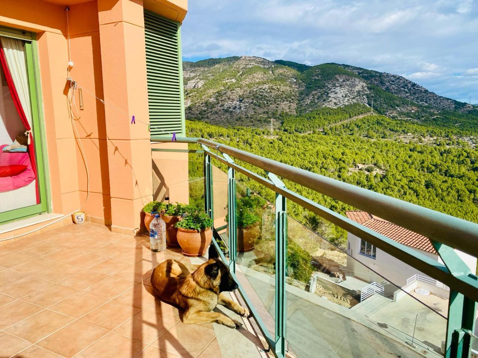 Precioso Atico En La Sierra De Irta Apartment Alcoceber ภายนอก รูปภาพ